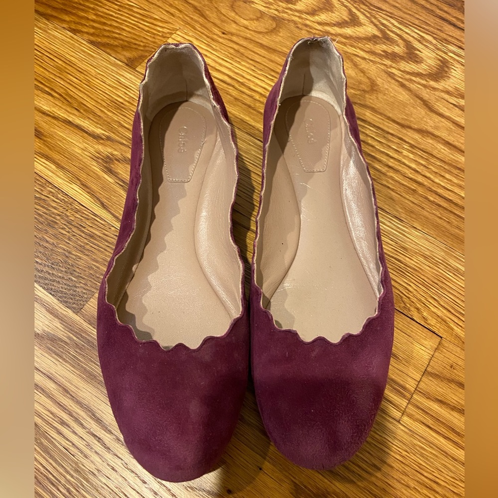Chloe suede scalloped flats in a purple/maroon color